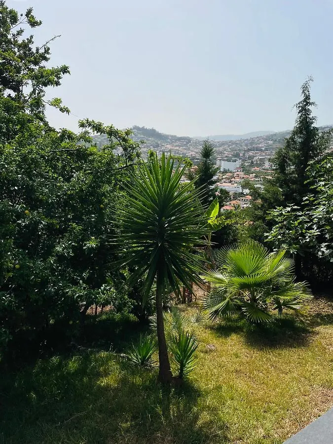 Casa vacanze The Farm House.23 Funchal